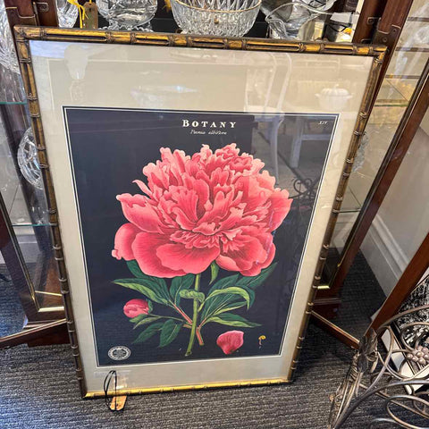 Framed Peony Print