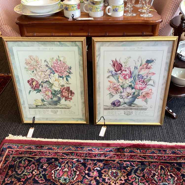 Two Botanical Prints