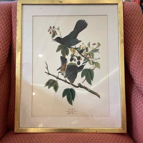 Cat Bird Print - Gold Frame