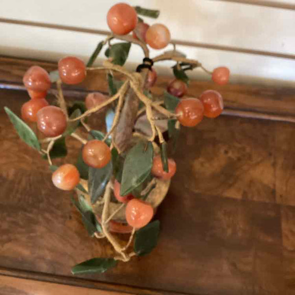 Small Jade Tree