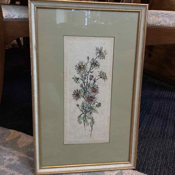 Chrysanthemum Lithogram 1920's