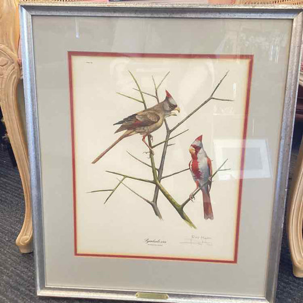 Framed Desert Cardinal Print