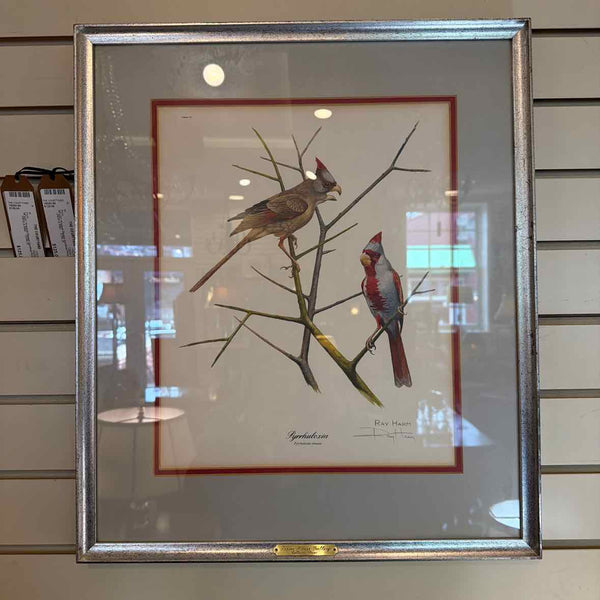 Framed Desert Cardinal Print