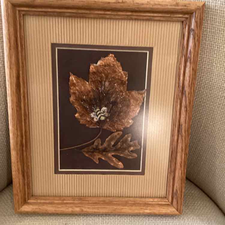Framed Copper Oak Leaf & Maple Leaf