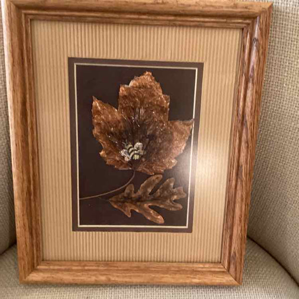 Framed Copper Oak Leaf & Maple Leaf