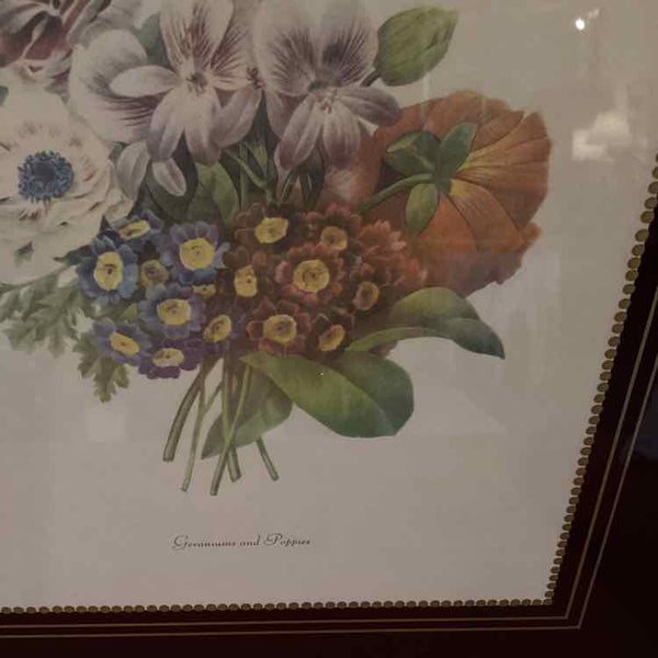 Geranium & Poppy Print