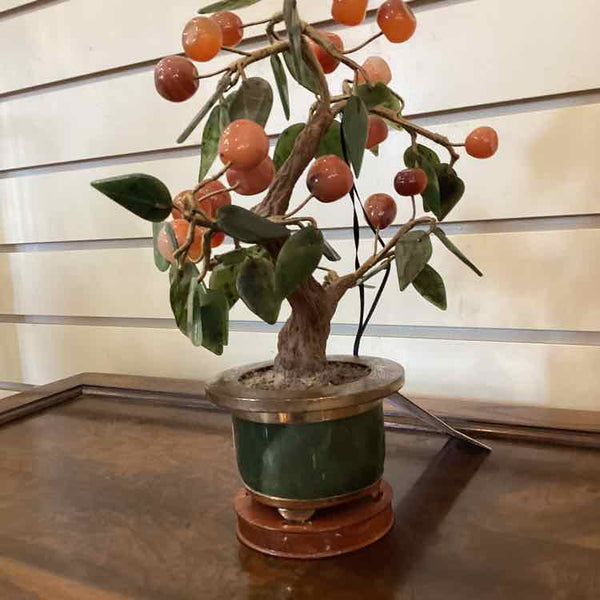 Small Jade Tree