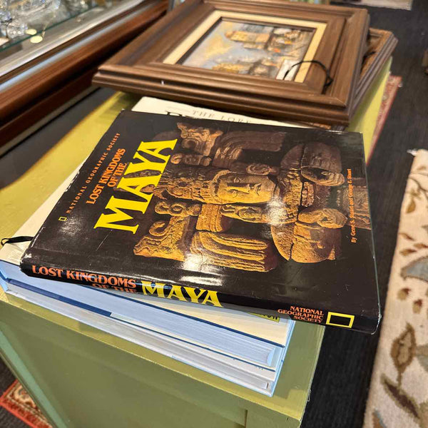 Book-Lost Kingdoms Of The Maya