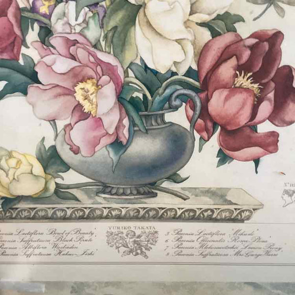 Two Botanical Prints