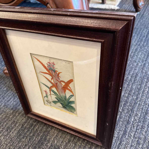 Framed Botanical
