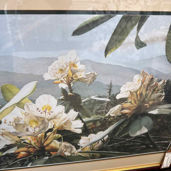 Signed & Numbered Dogwood Print by Carol Sharp