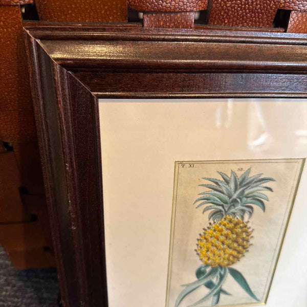 Framed Botanical