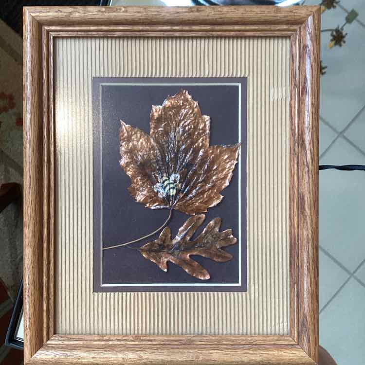 Framed Copper Oak Leaf & Maple Leaf