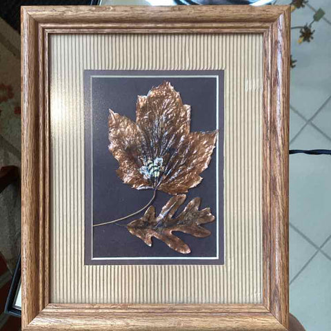 Framed Copper Oak Leaf & Maple Leaf
