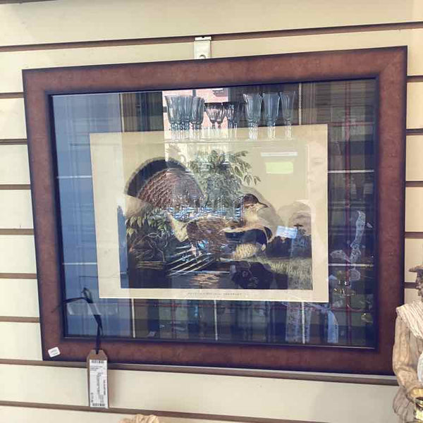 Framed Book Plate Print of Pheasant