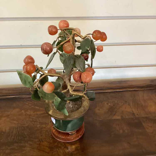 Small Jade Tree