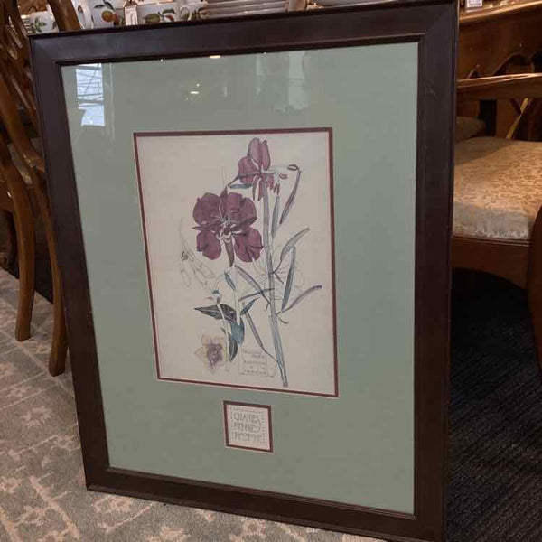 Willow Herb Macintosh Print - 1919