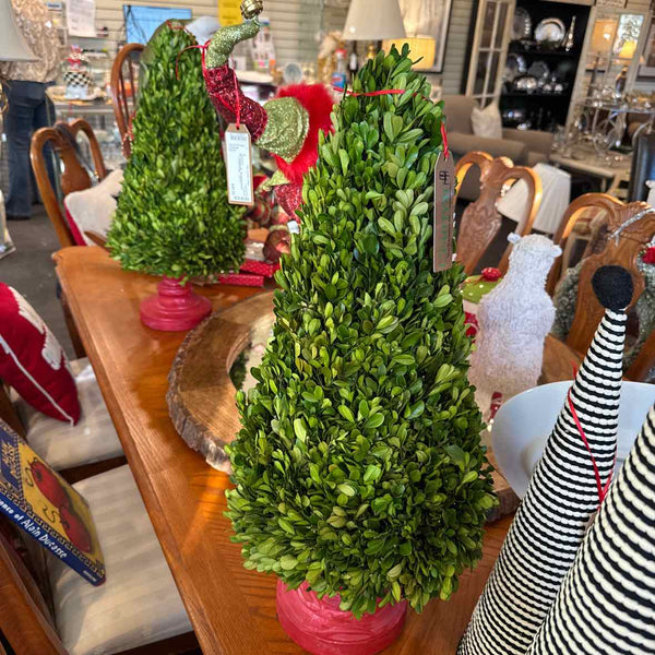 Boxwood Christmas Tree