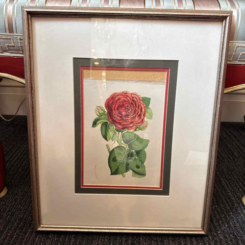 Framed Botanical AS IS
