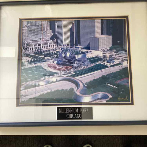 Framed Photo "Millennium Park" (Bob Horsch)