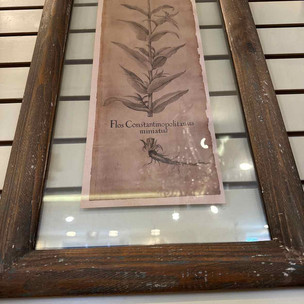 Pair Of Framed Floral Prints