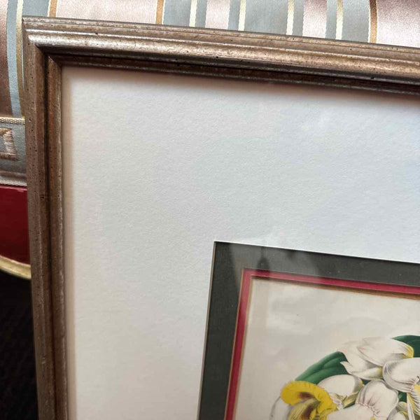 Framed Botanical