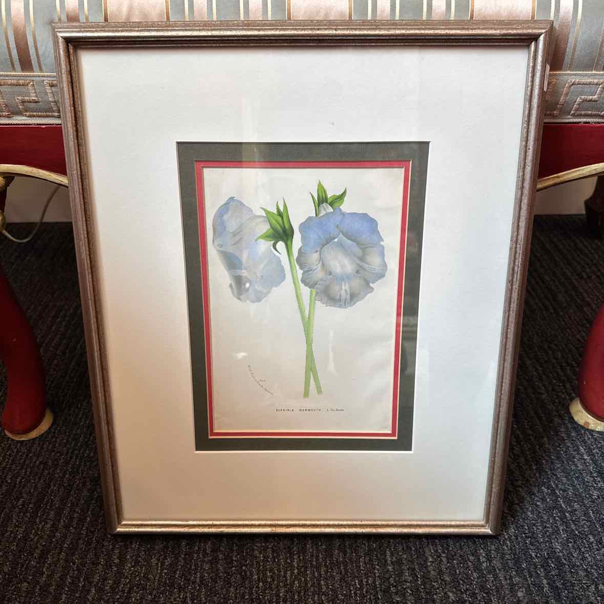 Framed Botanical