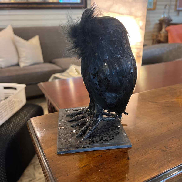 Black Feathered Owl