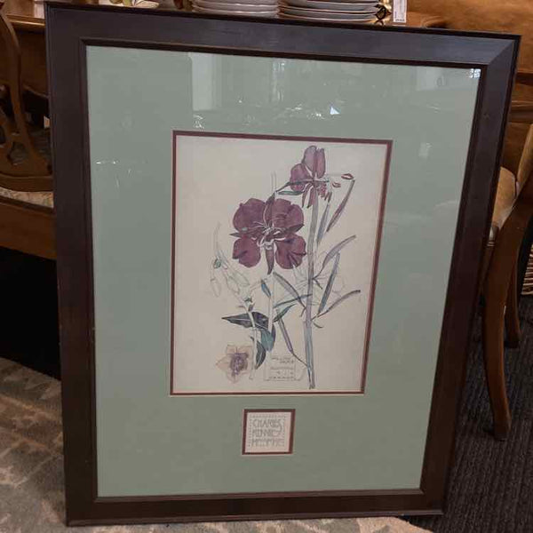 Willow Herb Macintosh Print - 1919