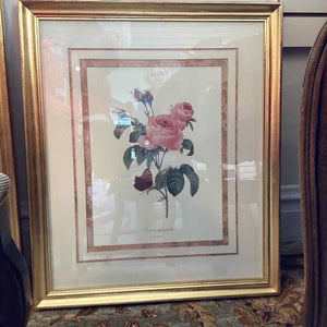 Botanical Print