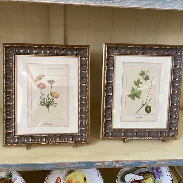 Pair Of Botanical Prints