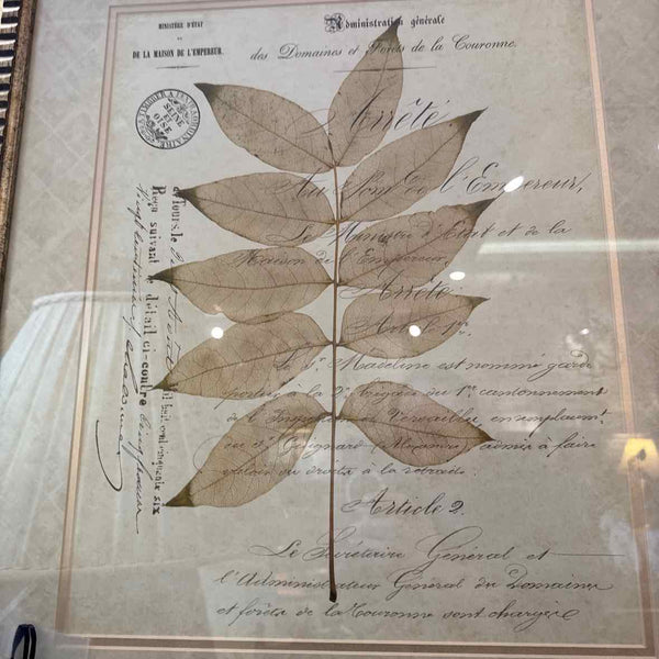 Framed Leaf Print