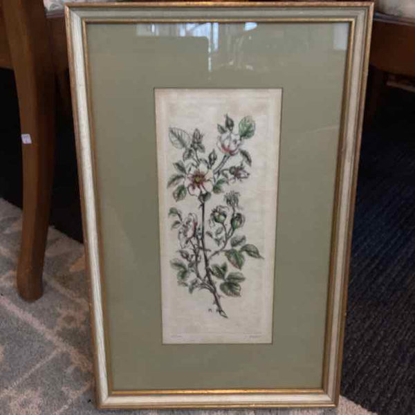 Rose Lithograph