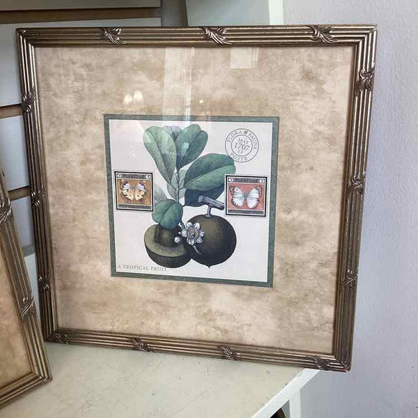 Three Fruit Prints