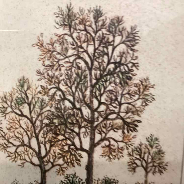 Framed Forest Scene