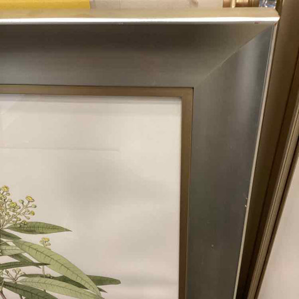 Vintage Botanical Lithograph