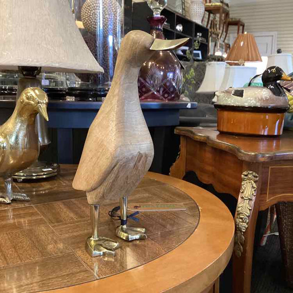 Wood Duck With Gold Feet And Beak