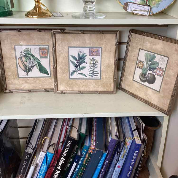 Three Fruit Prints