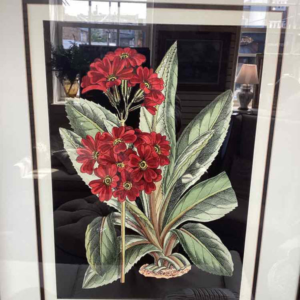 Primrose Print In Black Frame