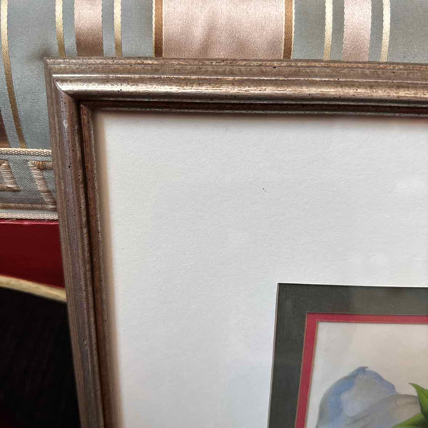 Framed Botanical