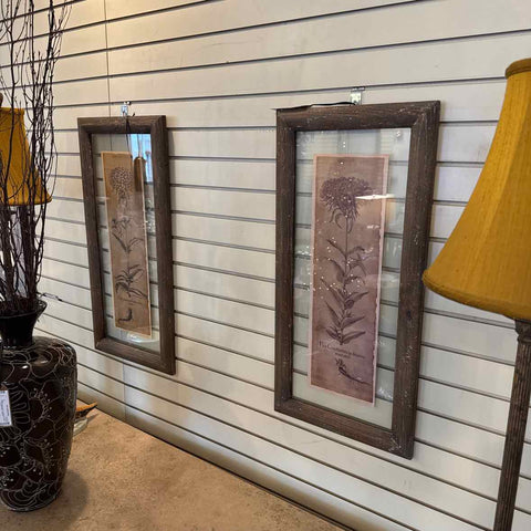 Pair Of Framed Floral Prints