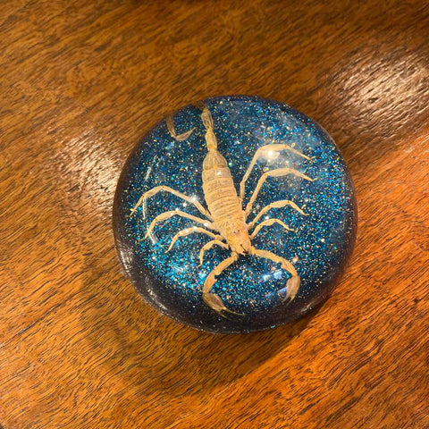 Scorpion Round Paperweight