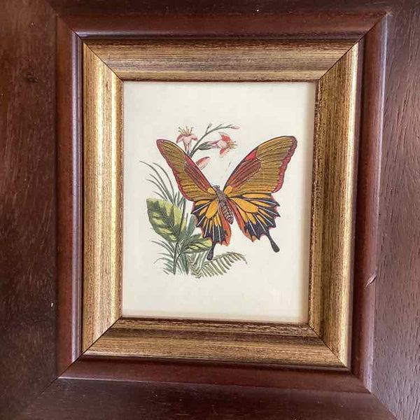 Pair of Butterfly Block Color Prints
