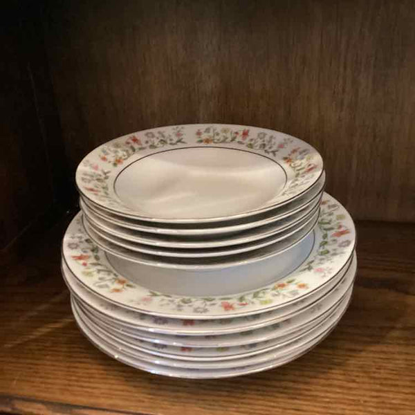 64 Piece Ashley "Eternal Love" Set of China
