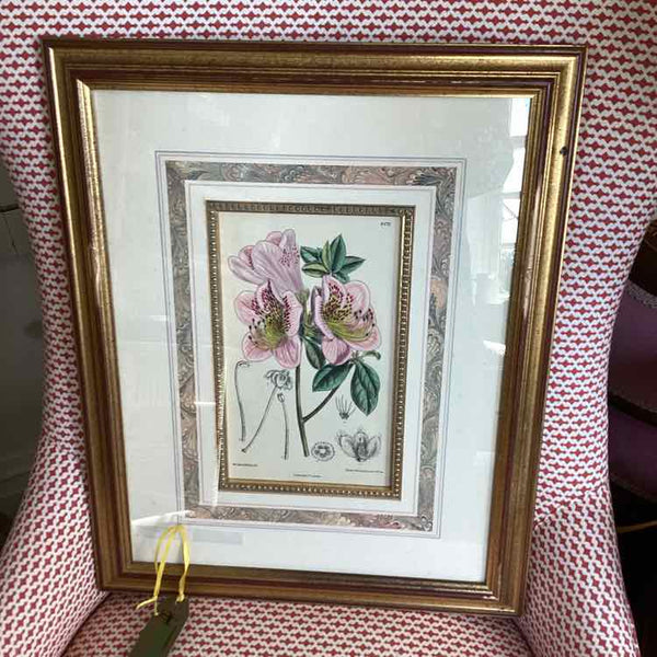 "As Is" Pair Of Floral Prints