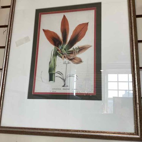 Framed Botanical