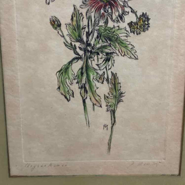 Chrysanthemum Lithogram 1920's