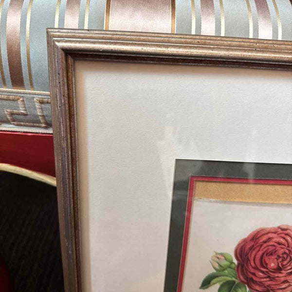 Framed Botanical AS IS