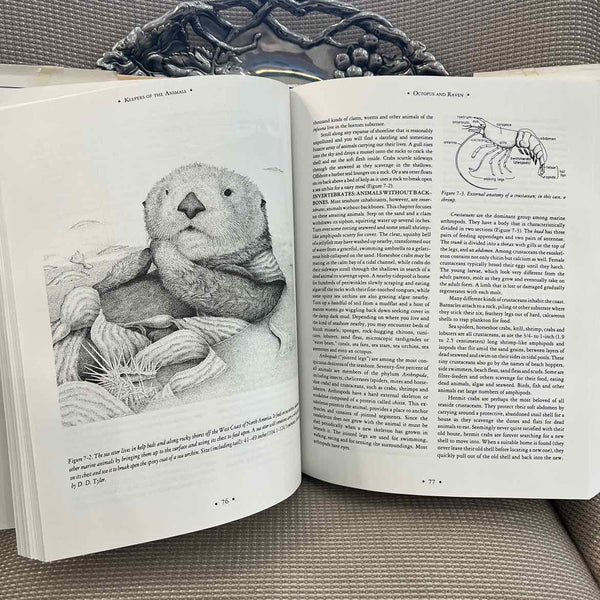 Book - Keepers of Animals