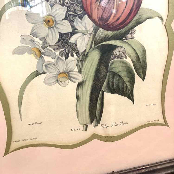 Julie Ange Print of Tulip & Lilac - 1800s